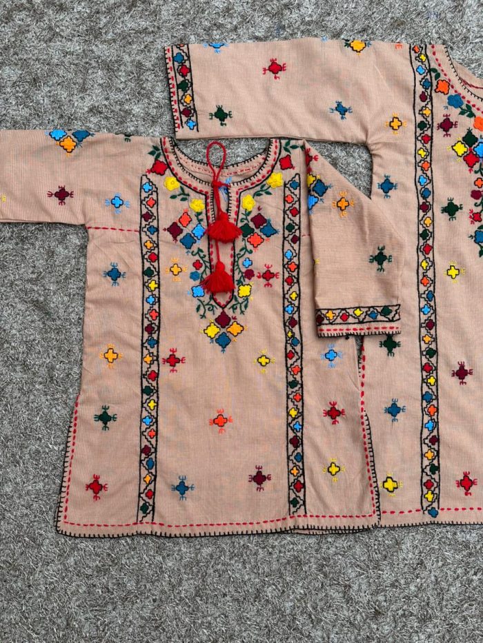 Rang-e-Nazuk Hand embriodery - Image 2